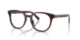 Milky Pecan / Demo Lens (5968)