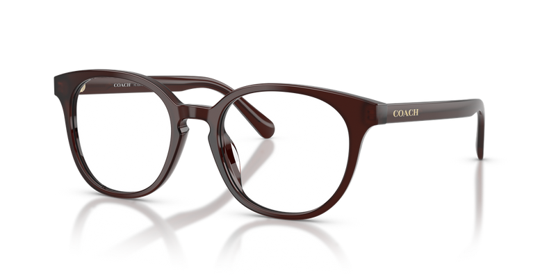 Coach HC6301U in Milky Pecan - Alternate View
