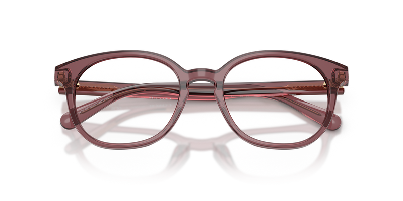 Coach HC6301U in Transparent Purple - Alternate View
