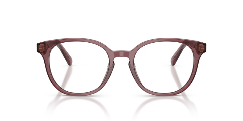 Coach HC6301U in Transparent Purple - Alternate View