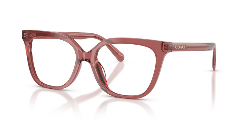 Coach HC6302U in Transparent Smoke Pink - Alternate View