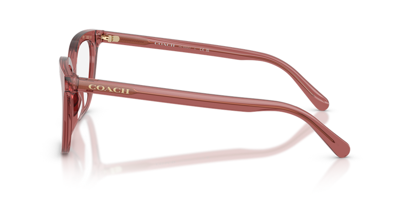 Coach HC6302U in Transparent Smoke Pink - Alternate View