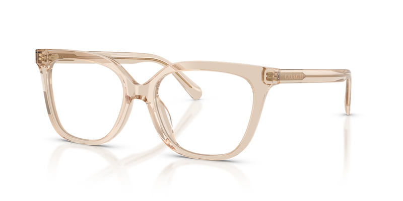 Coach HC6302U in Transparent Beige - Alternate View