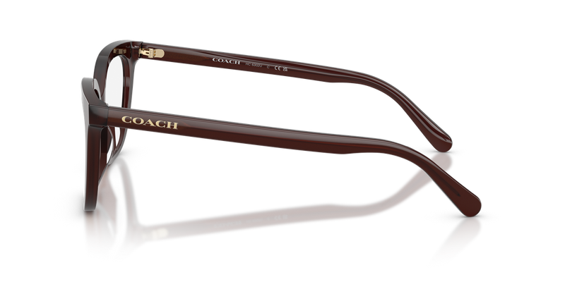 Coach HC6302U in Milky Pecan - Alternate View