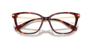 Walnut Tortoise / Demo Lens (5938)