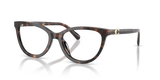 Dark Tortoise / Demo Lens (5120)