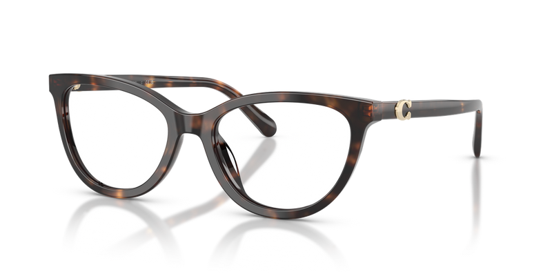 Coach HC6304U in Dark Tortoise - Alternate View