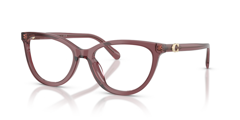 Coach HC6304U in Transparent Purple - Alternate View