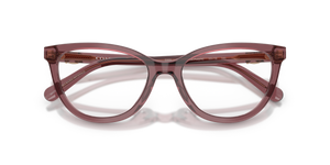 Transparent Purple / Demo Lens (5969)