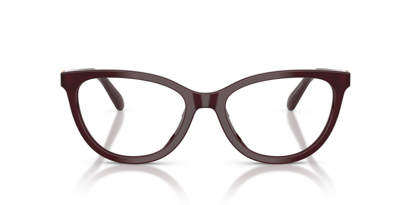 Coach HC6304U in Transparent Dark Cherry - Alternate View