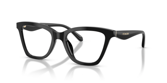 Coach HC6306U - Black / Demo Lens (5002)