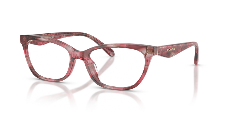 Coach HC6307U in Rose Watercolor - Alternate View