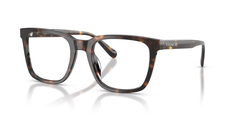 Coach HC6309U in Dark Tortoise - Alternate View