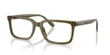 Transparent Olive / Demo Lens (5910)