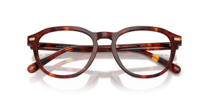 Walnut Tortoise / Demo Lens (5938)