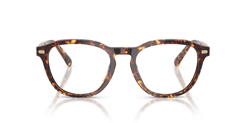 Coach HC6311U in Tortoise Mustard - Alternate View