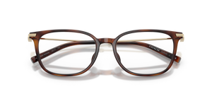 Dark Tortoise / Demo Lens (5120)