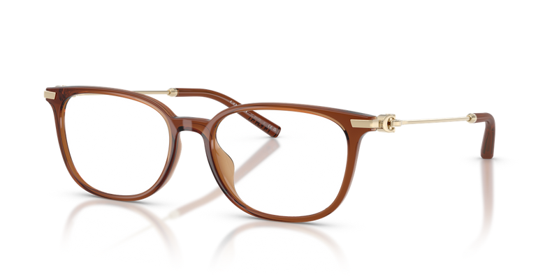 Coach HC6312D in Transparent Brown - Alternate View