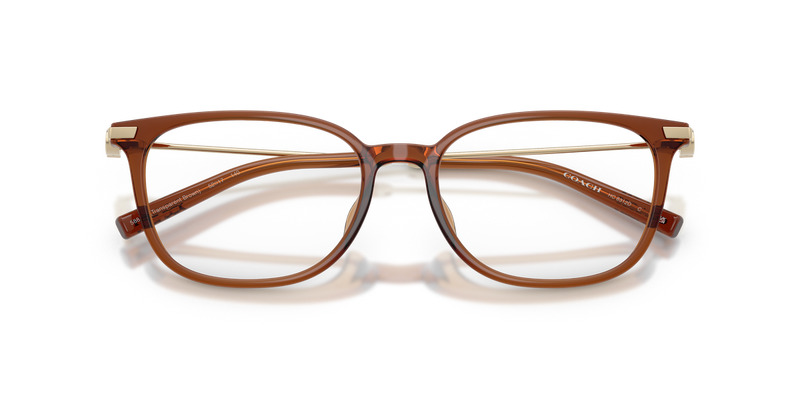 Coach HC6312D in Transparent Brown - Alternate View