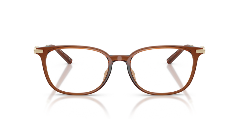 Coach HC6312D in Transparent Brown - Alternate View