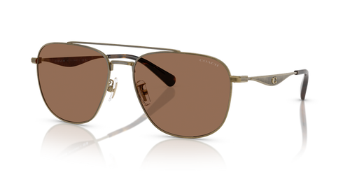 Antique Gold / Brown Solid (933373)
