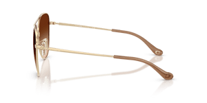 Shiny Light Gold / Brown Gradient (900574)