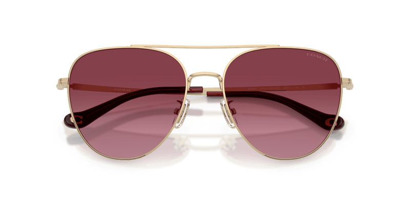 Coach CBZ89 in Shiny Light Gold / Merlot Gradient (90058H) - Alternate View