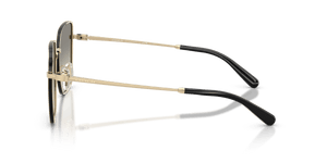 Shiny Light Gold/Black / Grey Gradient (94643C)