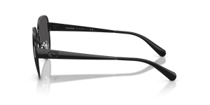 Shiny Black / Grey Solid (934487)