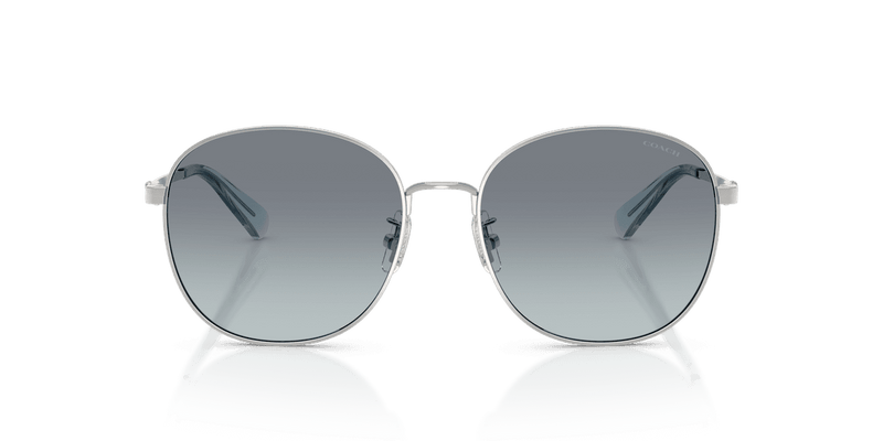 Coach CDP39 in Shiny Silver / Ocean Gradient (900119) - Temple Detail