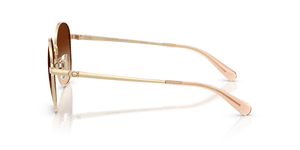 Shiny Light Gold / Brown Gradient (900574)