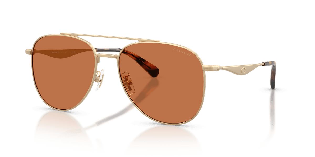 Coach CDP40