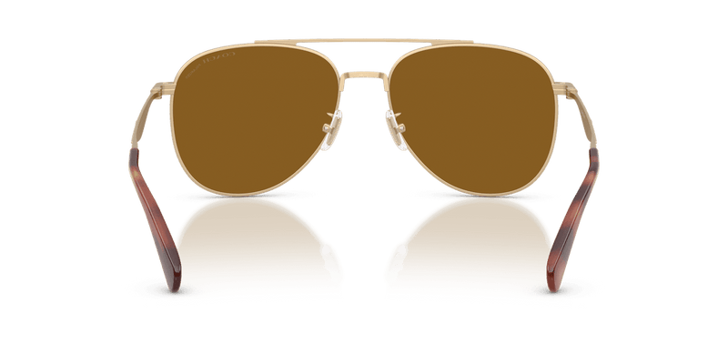 Coach CDP40 in Satin Light Gold / Brown Solid Polarized (900583) - Alternate View