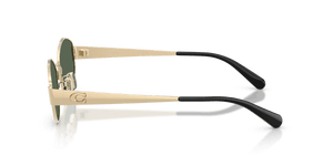 Shiny Light Gold / Dark Green Solid (900571)