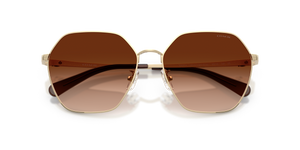 Shiny Light Gold / Brown Gradient (900574)