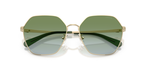 Shiny Light Gold / Green Gradient (9005I7)