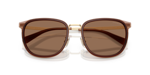 Satin Light Gold/Brown / Brown Solid (947473)