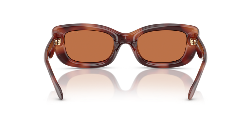 Coach CR610 in Caramel Tortoise / Brown Solid (577473) - Alternate View