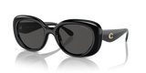 Black / Grey Solid (500287)