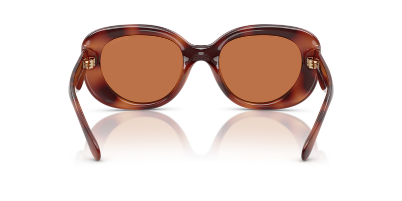 Coach CR609 in Caramel Tortoise / Brown Solid (577473) - Alternate View