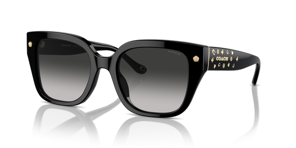 Coach CR611