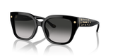 Black / Grey Gradient (50023C)