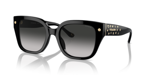 Black / Grey Gradient (50023C)