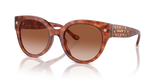 Caramel Tortoise / Brown Gradient (577413)