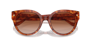 Caramel Tortoise / Brown Gradient (577413)
