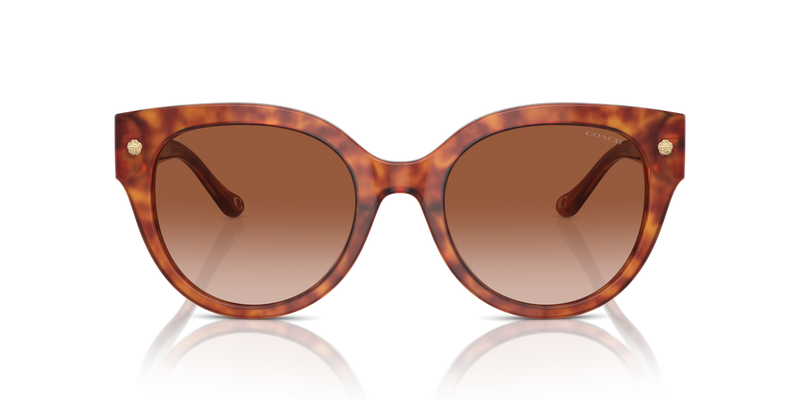 Coach CR612 in Caramel Tortoise / Brown Gradient (577413) - Alternate View