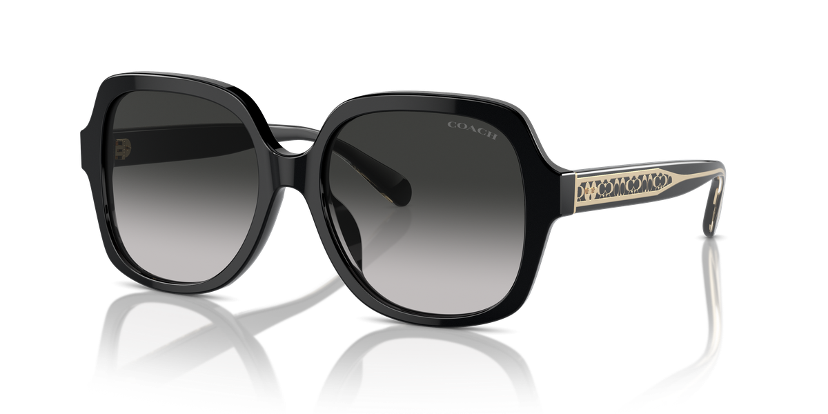 Coach CR614