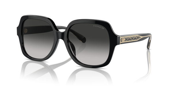 Coach CR614