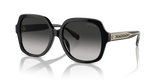 Black / Grey Gradient (50023C)