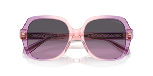 Amethyst/Pink Gradient / Purple Gradient (581390)